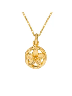 Zilver 925 Collier ZH-6029/1