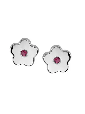 Zilver 925 Oorknoppen ZO-6070/1