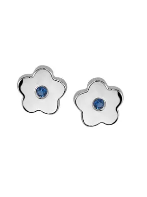 Zilver 925 Oorknoppen ZO-6070