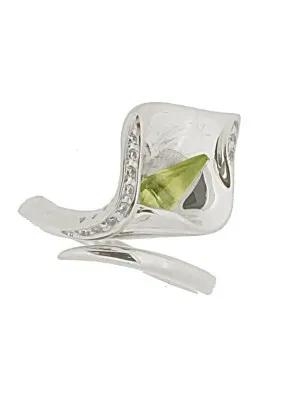 Zilver 925 Ring (sieraad) ZR-3469/1/54