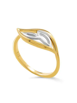 Charlotte Zilver 925 Ring (sieraad) ZR-7523/G